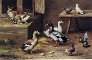 unknow artist poultry  174 oil painting reproduction